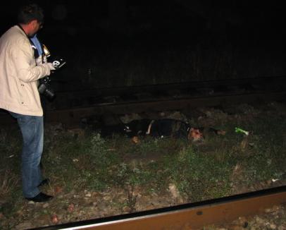 Un septuagenar a murit după ce a fost lovit de tren (FOTO)