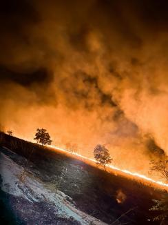 18 incendii în doar 24 de ore în Bihor! Semnalul de alarmă tras de pompieri (FOTO)