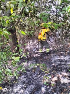 18 incendii în doar 24 de ore în Bihor! Semnalul de alarmă tras de pompieri (FOTO)