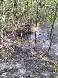 18 incendii în doar 24 de ore în Bihor! Semnalul de alarmă tras de pompieri (FOTO)