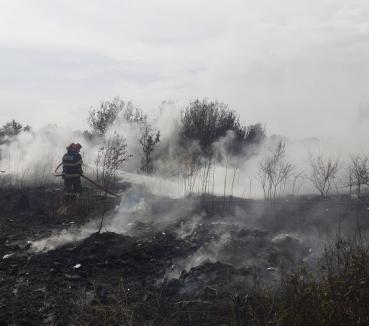 18 incendii în doar 24 de ore în Bihor! Semnalul de alarmă tras de pompieri (FOTO)