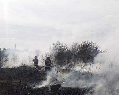 18 incendii în doar 24 de ore în Bihor! Semnalul de alarmă tras de pompieri (FOTO)