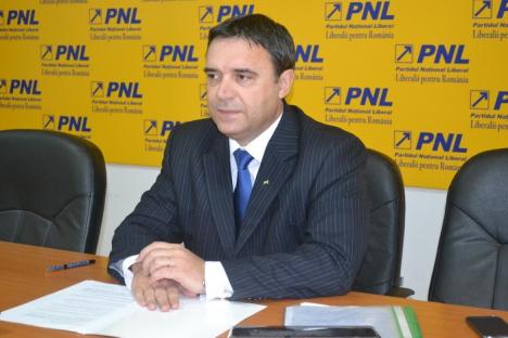 Deputatul Ioan Cupşa, avocatul Primăriei: Agenţia de Protecţia Mediului încurcă municipalitatea la ordinul şefului PSD Bihor