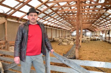 Un vestit cioban din Bihor, Ionică Sterp, participă la pichetarea Ministerului Agriculturii: Nu sprijină oierii, ci pe 'băieţii deştepţi'