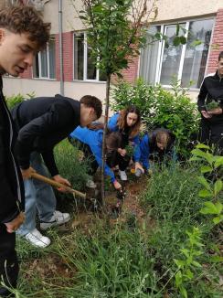 Luna Curățeniei în Bihor, la final: aproape 200 de acțiuni de igienizare, la care au participat peste 1.100 de copii (FOTO)