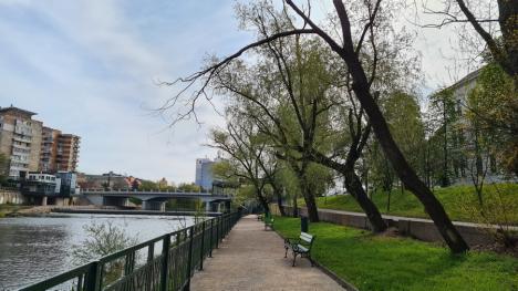 Lăsaţi Crişul verde! Primăria Oradea pregăteşte defrişări în 'plămânul' verde din centrul oraşului, în ciuda opoziţiei ecologiştilor (FOTO)