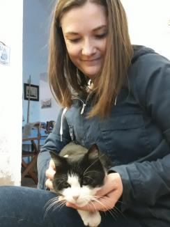 Stăpâna Cetăţii: Cum a ajuns pisica Mici cea mai îndrăgită locatară din Cetatea Oradea (FOTO)