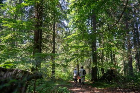 Aproape 2 milioane de euro din fonduri UE pentru turism ecologic și conservarea naturii în Bihor, la Șinteu și Aușeu