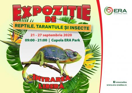 XXL Tarantula Expo revine la ERA Park Oradea!