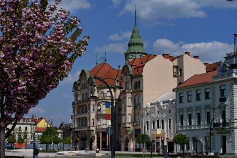 Piațetă colorată: Sute de lalele multicolore pe strada Iuliu Maniu din Oradea (FOTO)