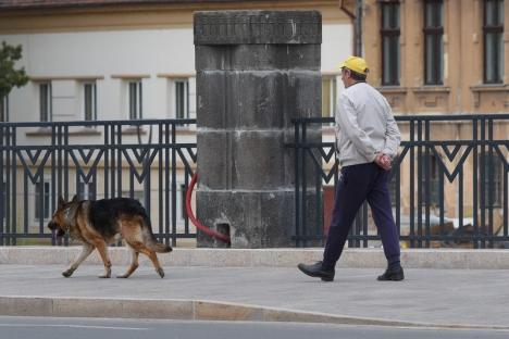 GALERIE DE IMAGINI din Oradea în ziua de Paşte: Străzi aproape pustii, tramvaie goale