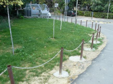 Noi zone verzi amenajate în Oradea 