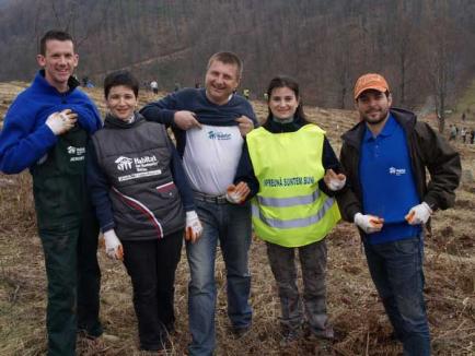 Peste 600 de voluntari au plantat mii de copaci la Roşia