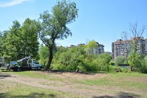 PSD vrea Oradea verde, cu acoperişuri-grădină, apă încălzită cu energie de la soare, centură vegetală şi Criş navigabil (FOTO)