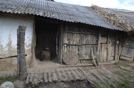 Satul fără oameni: Odată cu moartea ultimului locuitor, Pădureni a devenit prima localitate-fantomă din Bihor (FOTO)