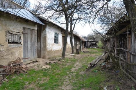 Satul fără oameni: Odată cu moartea ultimului locuitor, Pădureni a devenit prima localitate-fantomă din Bihor (FOTO)