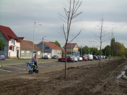 Gata cu gunoaiele vecinilor: Clujenii nu îşi mai aduc deşeurile la Oradea (FOTO)