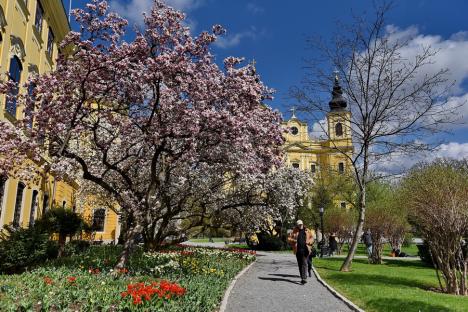 Oradea ieri, Oradea azi: Parcul Schlauch Lőrinc, de la grădina episcopului la ansamblu dendrologic (FOTO)