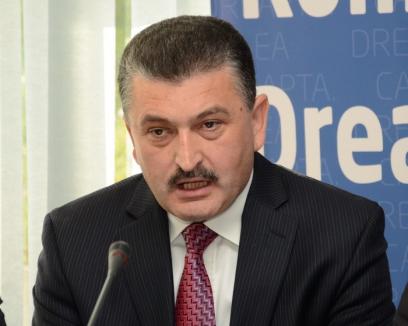 Final de carieră: PDL-istul Radu Ţîrle nu mai candidează la europarlamentare