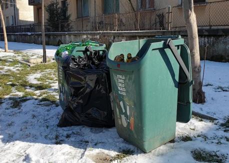 Bihorul, la curăţat! În numai un an, o treime din deşeurile judeţului au ajuns colectate separat (FOTO / VIDEO)