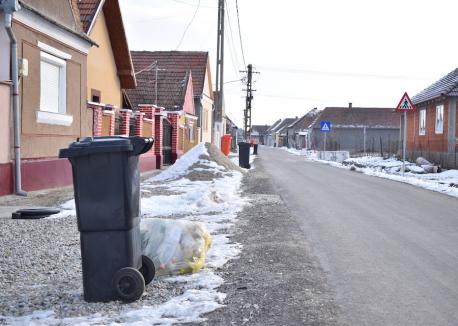 Bihorul, la curăţat! În numai un an, o treime din deşeurile judeţului au ajuns colectate separat (FOTO / VIDEO)