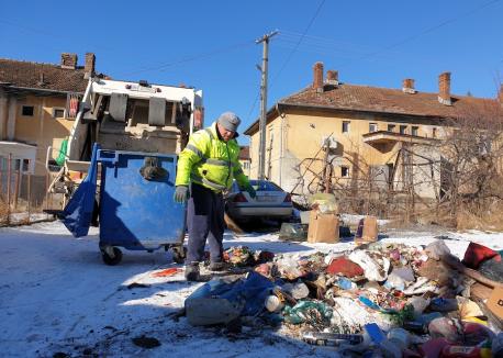 Bihorul, la curăţat! În numai un an, o treime din deşeurile judeţului au ajuns colectate separat (FOTO / VIDEO)