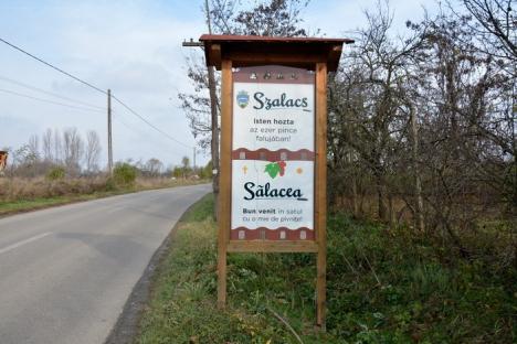 Pivniţe de poveste: Satul bihorean Sălacea are 1.000 de pivniţe, mai multe decât casele din localitate (FOTO)