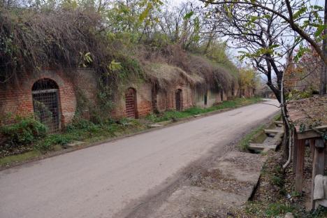 Pivniţe de poveste: Satul bihorean Sălacea are 1.000 de pivniţe, mai multe decât casele din localitate (FOTO)