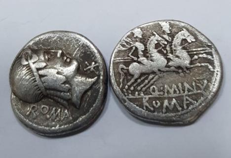 Tezaurul de la Aleşd: Aproape 400 de monede, din vremea romanilor, găsite în pădurea de lângă Peştiş (FOTO/VIDEO)