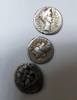 Tezaurul de la Aleşd: Aproape 400 de monede, din vremea romanilor, găsite în pădurea de lângă Peştiş (FOTO/VIDEO)