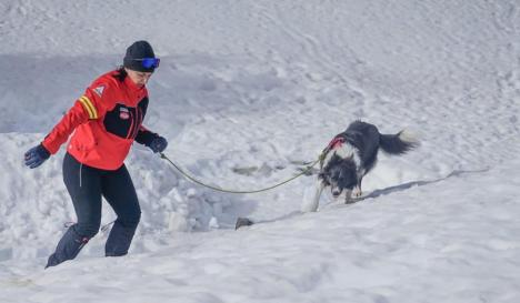 Uma îți ia urma! Bihorul are un câine care știe să găsească victime surprinse de avalanșe și acoperite de zăpadă (FOTO/VIDEO)
