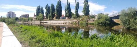 Ecologiştii din Oradea sunt sceptici privind legalitatea lucrărilor pe care ABA le face pe malul Crişului, în zona Decebal (FOTO)