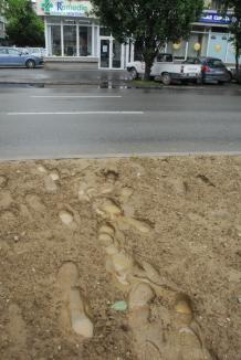 Scuarul din Bulevardul Dacia, distrus deja de orădenii care-l calcă în picioare
