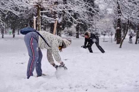 Oradea albă: Cum s-au bucurat orădenii de prima zi cu zăpadă abundentă din acest sezon (FOTO)