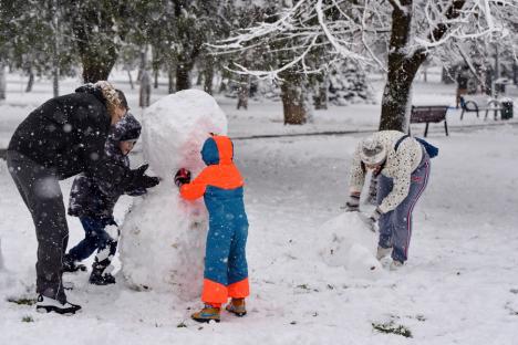 Oradea albă: Cum s-au bucurat orădenii de prima zi cu zăpadă abundentă din acest sezon (FOTO)