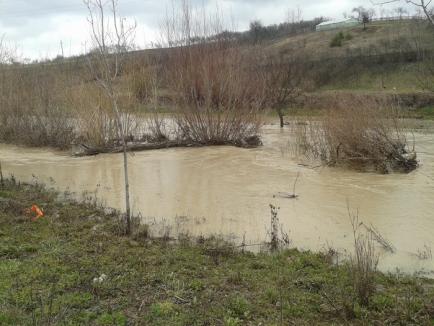 Peste 600 de hectare de teren inundate după ploile din weekend (FOTO)