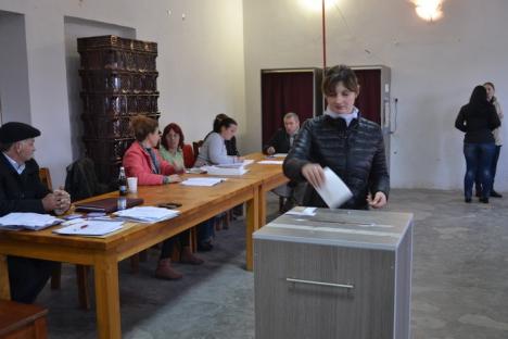 DN 76, drum nerecomandat turismului electoral: În Depresiunea Beiuşului s-a votat "regulamentar" (FOTO)