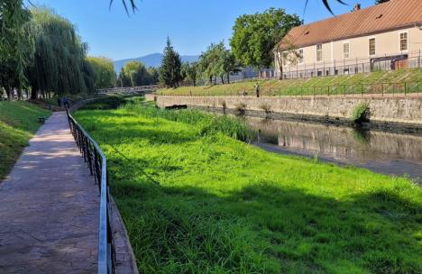 Beiușul, mai ferit de inundații: Valea Nimăiești a fost decolmatată (FOTO/VIDEO)