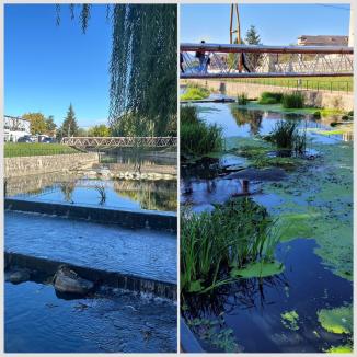 Beiușul, mai ferit de inundații: Valea Nimăiești a fost decolmatată (FOTO/VIDEO)