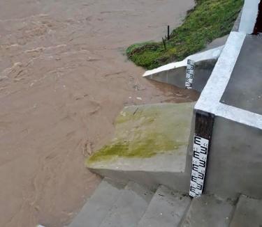 Râurile din Bihor, învolburate. Debitele pe Crişul Repede şi Crişul Negru, mult mai mari decât normalul perioadei