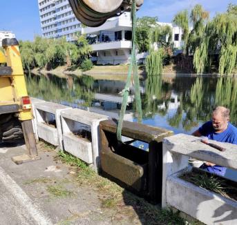 Se întâmplă în Oradea: jardiniere de beton de pe promenadă, aruncate intenționat în Criș! (FOTO)