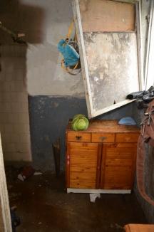 Abatorul copilăriei: O familie cu cinci copii trăieşte de şapte ani într-o locuinţă improvizată în ruinele fostului abator de la marginea comunei Tinca (FOTO)