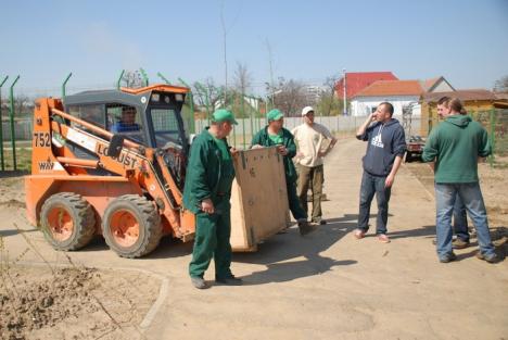 Primele animale noi la Zoo au sosit din Nyiregyhaza (FOTO)