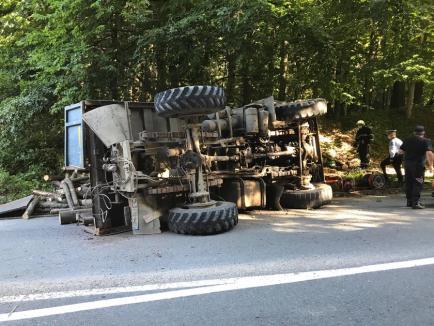 Accident lângă Pădurea Neagră. O camionetă cu lemne s-a răsturnat, şoferul a rămas încarcerat (FOTO)