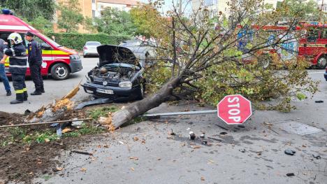 Șofer, pericol public! Mort de beat, a condus prin Oradea până a intrat într-un copac din fața unui magazin de pe Ștefan cel Mare (FOTO/VIDEO)