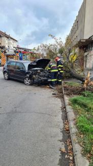 Șofer, pericol public! Mort de beat, a condus prin Oradea până a intrat într-un copac din fața unui magazin de pe Ștefan cel Mare (FOTO/VIDEO)