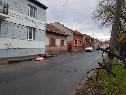 Pericol public: La volanul unui BMW, un tânăr beat a lovit o casă şi a rupt stâlpi de electricitate în Oradea (FOTO)