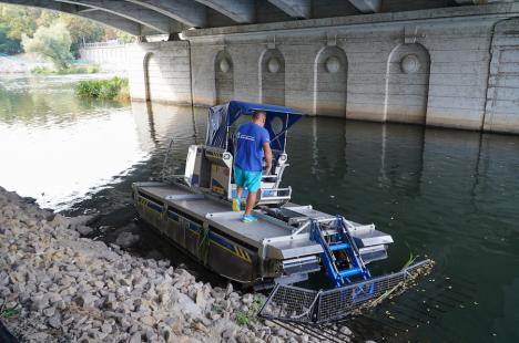 Scafandrii au intrat în Crișul Repede, în Oradea, ca să scoată gunoaiele aruncate în râu. Ce au găsit pe fundul apei (FOTO/VIDEO)