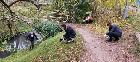 Mai mulți studenți ai Universității din Oradea au strâns deşeurile aruncate pe malul pârâului Peța (FOTO)