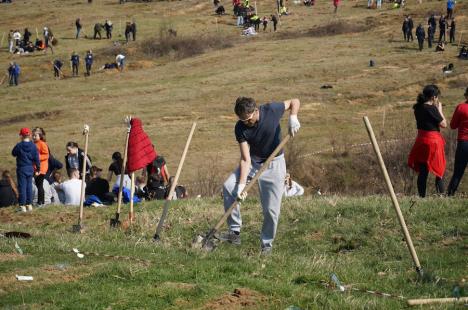 „O pădure de la zero”, în Bihor: Atmosferă de festival la o acțiune de plantare cu 2.000 de voluntari (FOTO/VIDEO)